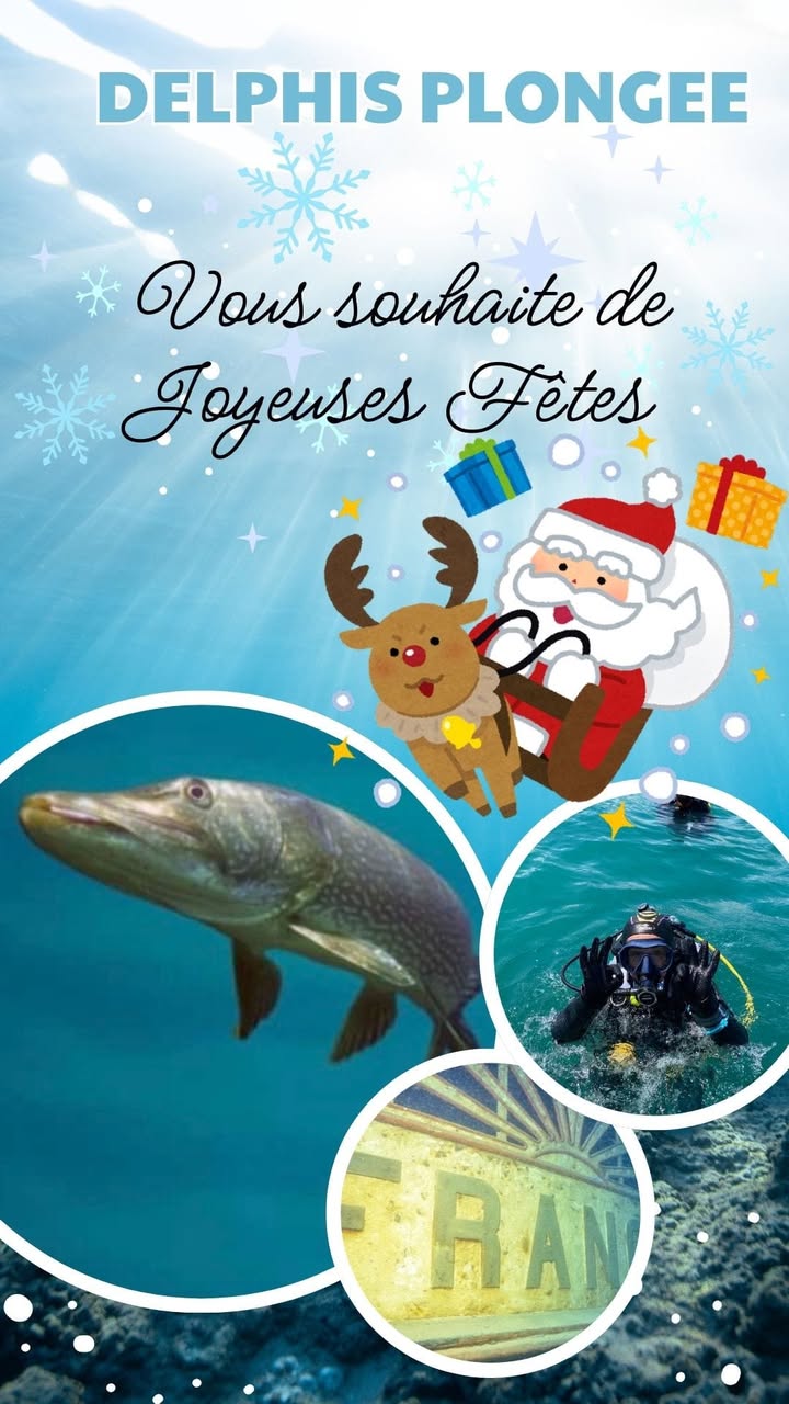 Delphis Plongée